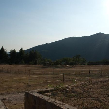 Agriturismo Le Vigne Villa Montale  Eksteriør billede
